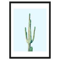 Loner Cactus