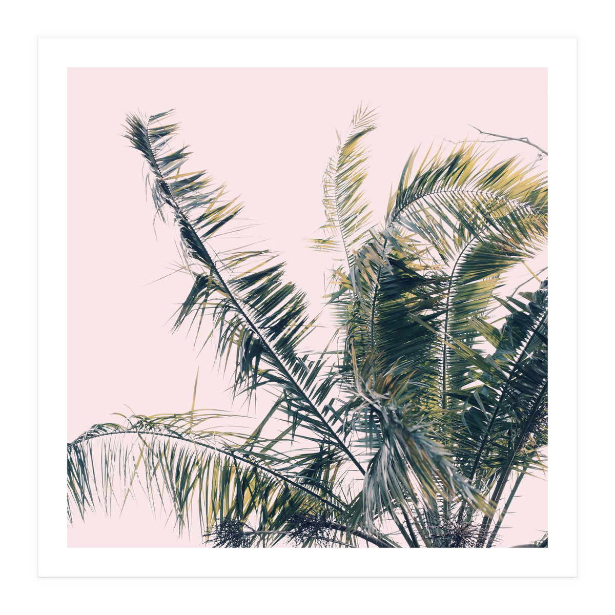 Winds Of Change #1 (Print Only)