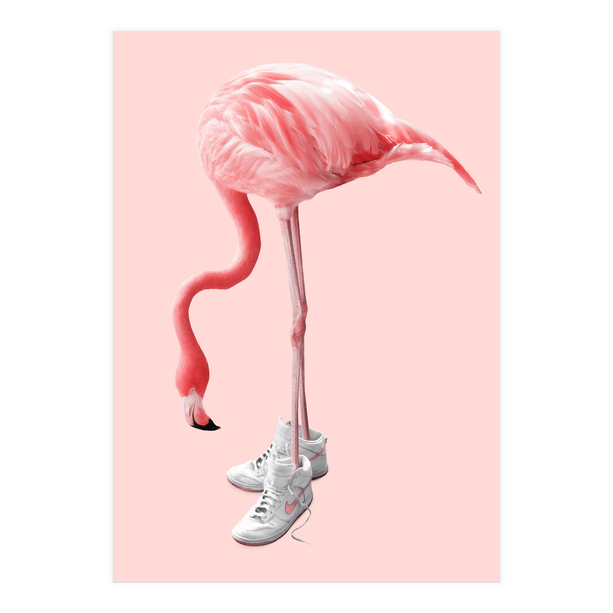 Sneaker Flamingo (Print Only)