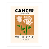 Cancer Birth Flower White Rose (Print Only) thumbnail