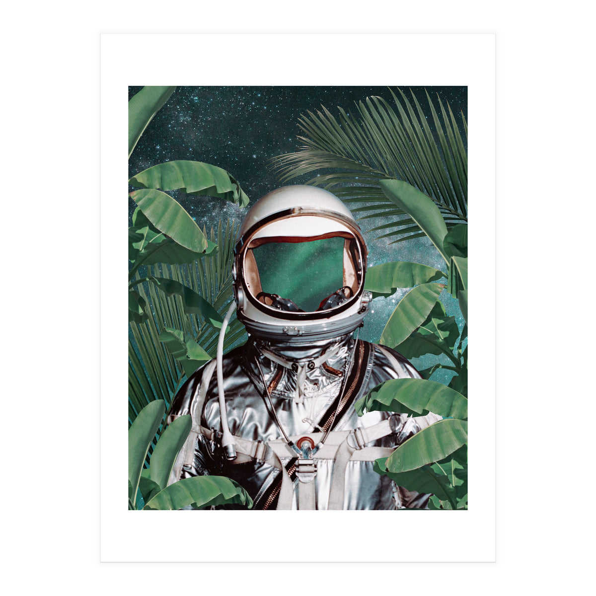 Paradise Found (Print Only)