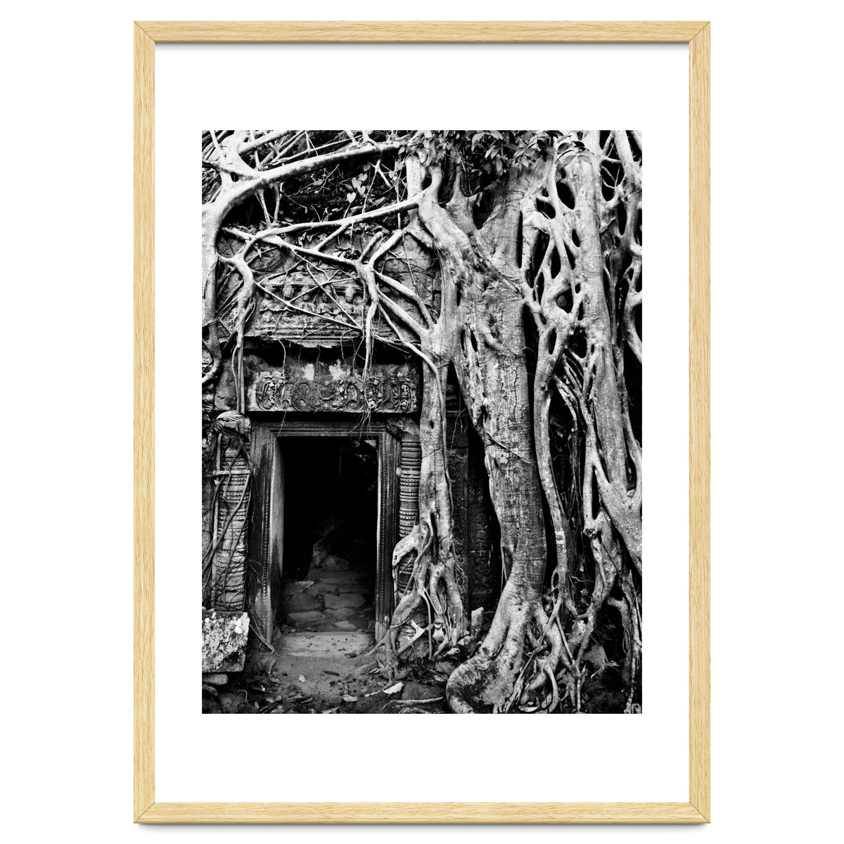 Ta Prohm Temple, Cambodia