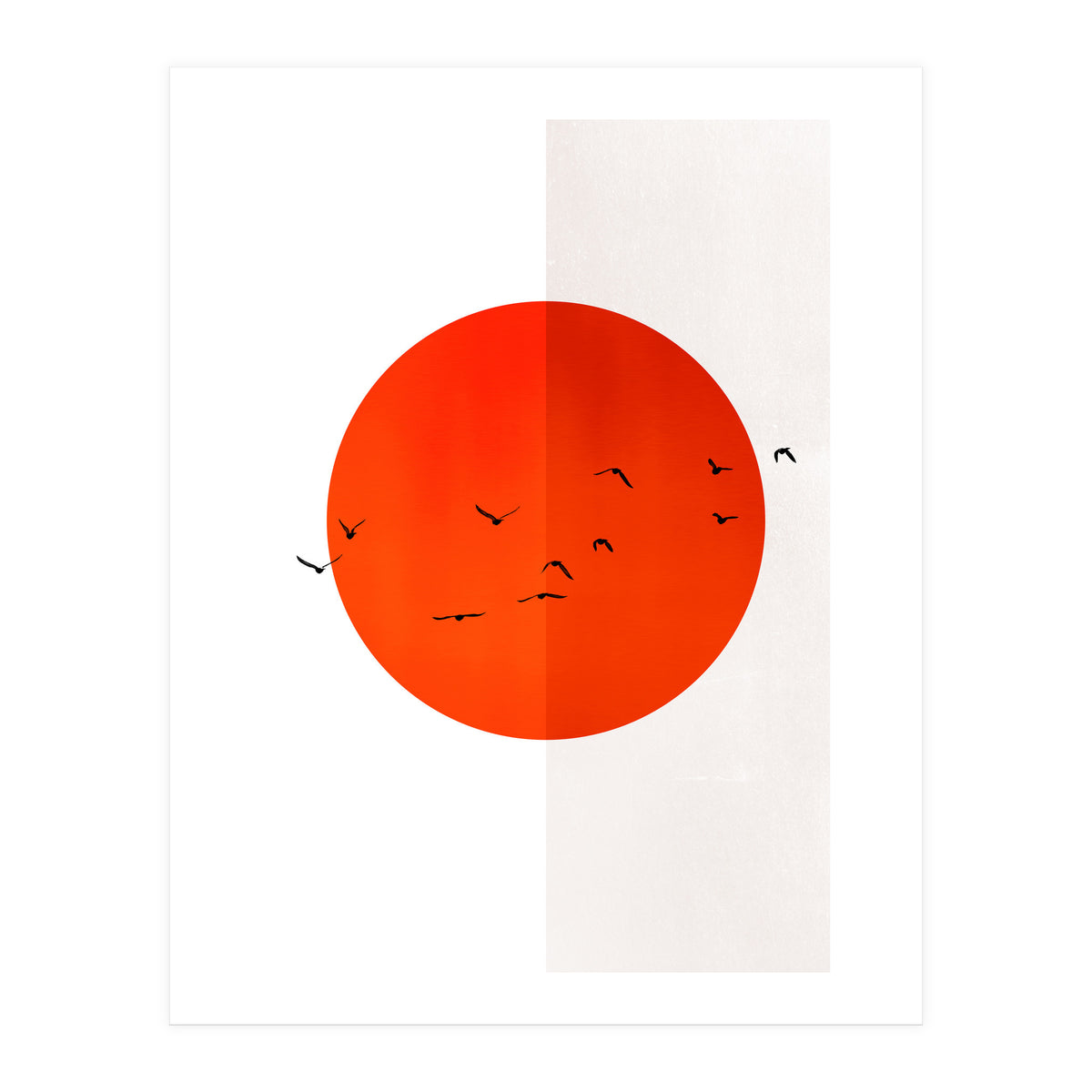 Seagulls Of The Sun (Print Only)