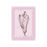 Magnolia Neutral Abstract Botanical (Print Only) thumbnail