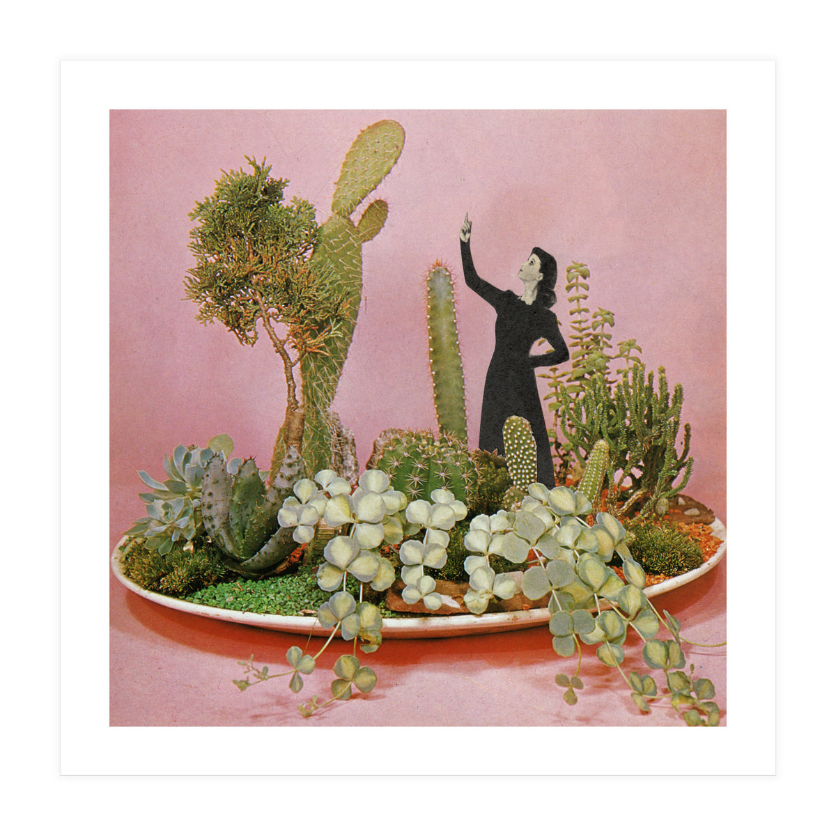 The Wonders Of Cactus Island (Print Only)