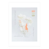 Modern Vintage Botanic (Print Only) thumbnail