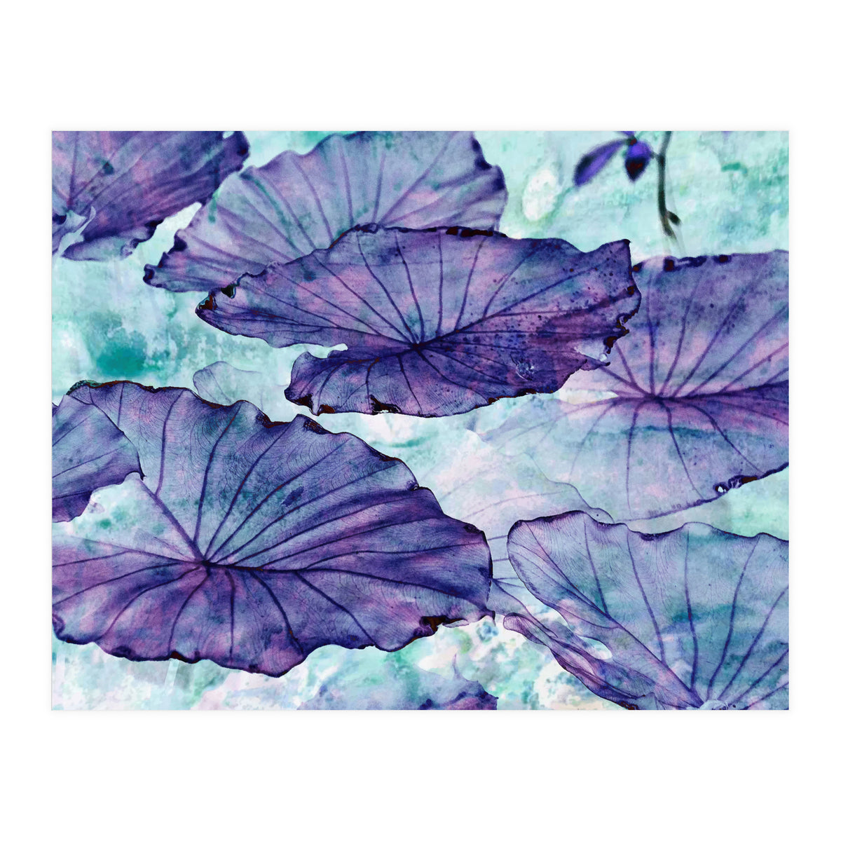 Botanical Surrealism (Print Only)