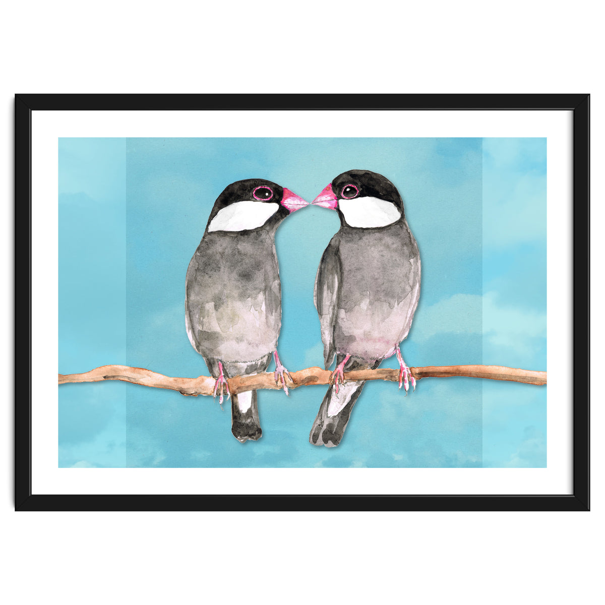 Two kissing Java sparrows