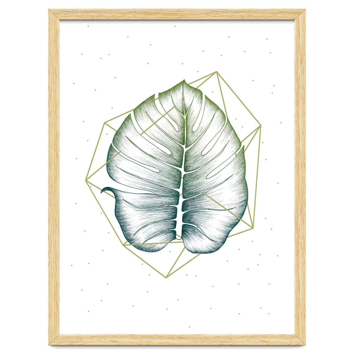 Geometry And Nature II