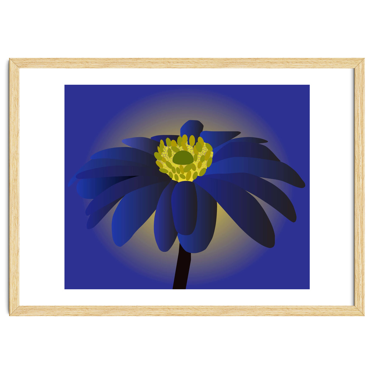 Anemone Blanda Flower Art