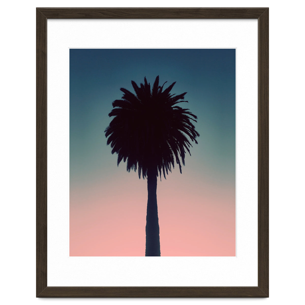 Sundown Palm