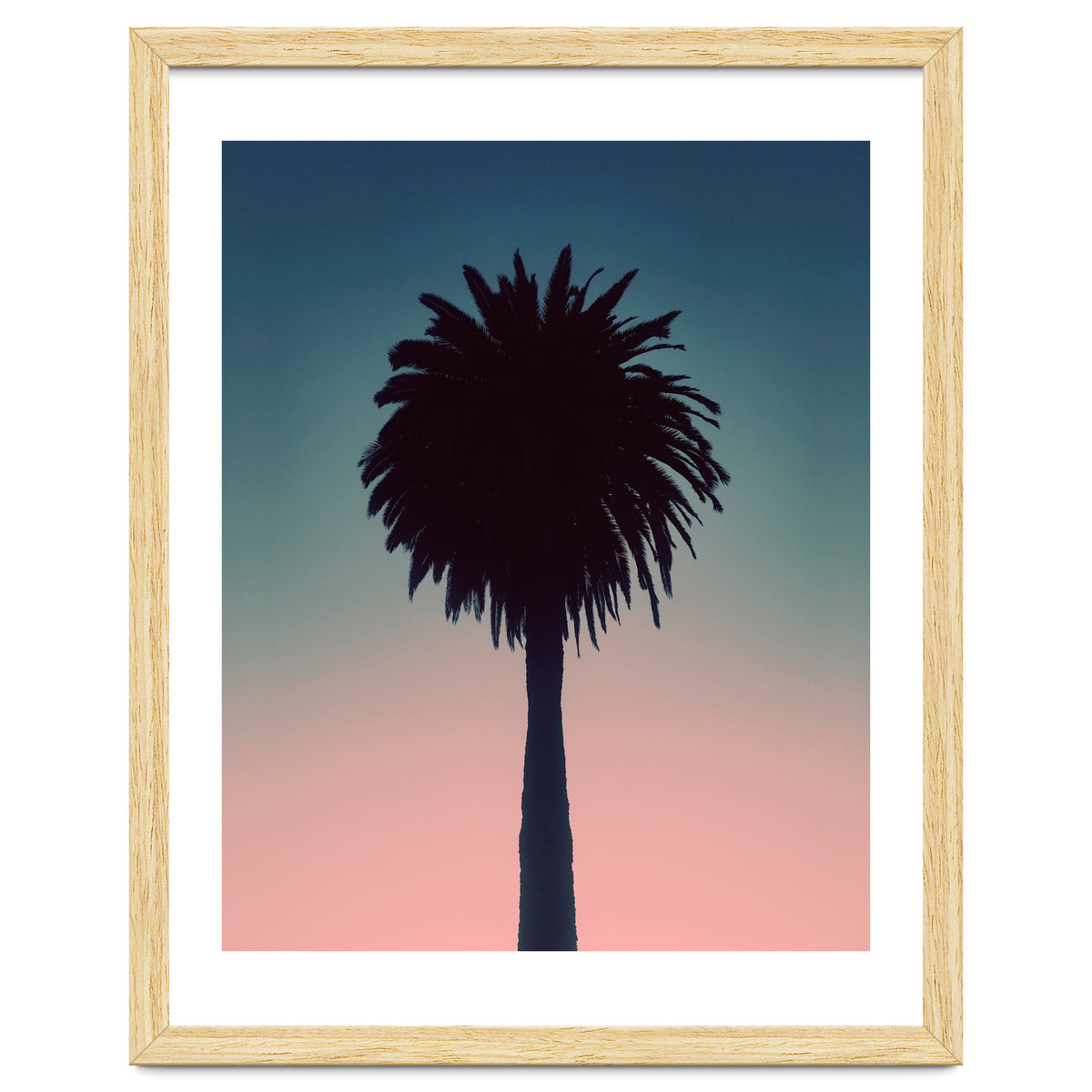 Sundown Palm