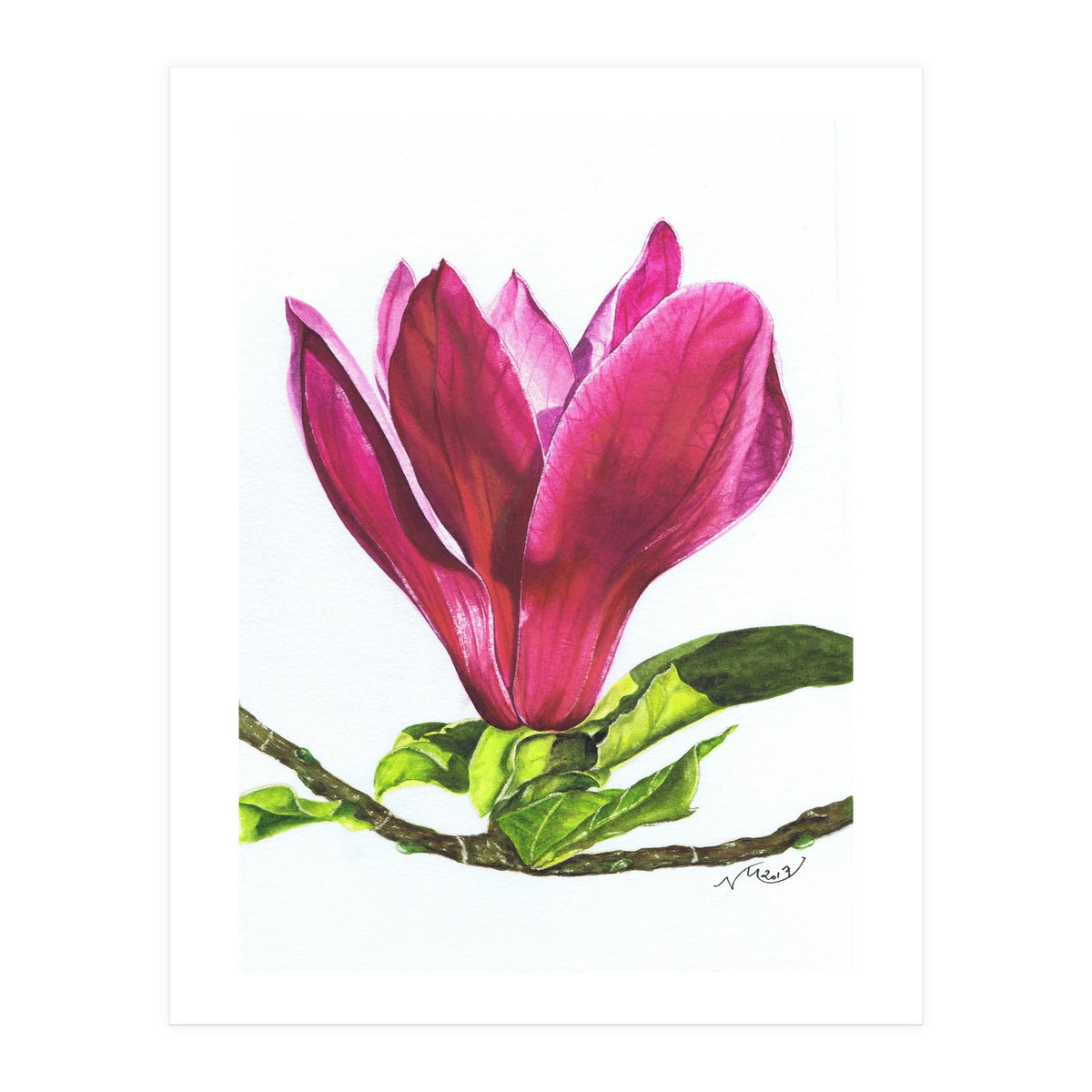 Single Magnolia (Print Only)