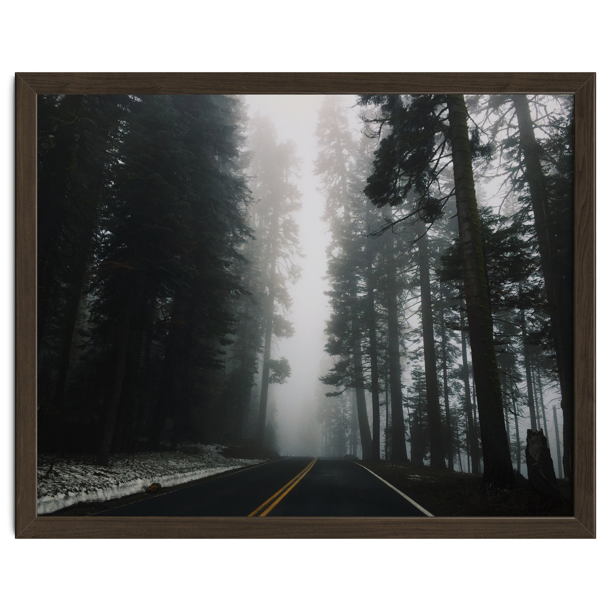 Foggy Yosemite