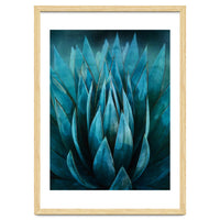 Blue Succulent