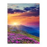 Nature (Print Only) thumbnail