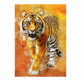 Tiger (Print Only) thumbnail