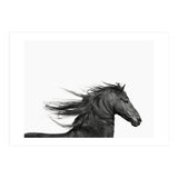 Dark Horse (Print Only) thumbnail