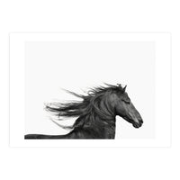 Dark Horse (Print Only)