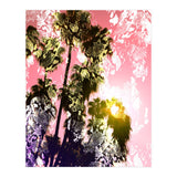 Snake sunset in paradise  (Print Only) thumbnail