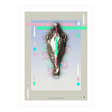Equus quagga (Print Only) thumbnail