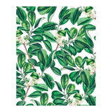 Botanica (Print Only) thumbnail
