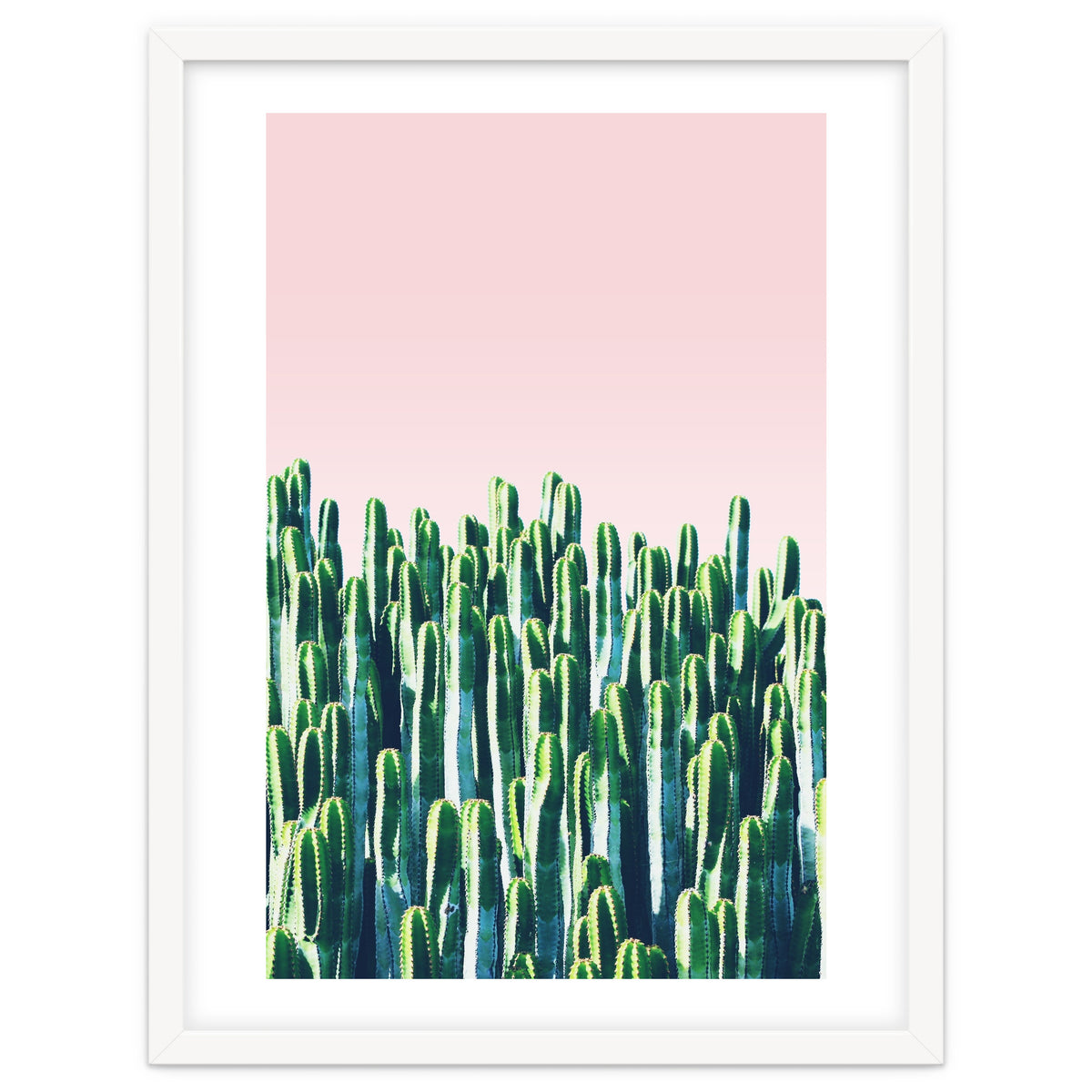 Cactus & Sunset I