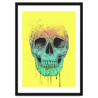 Pop Art Skull