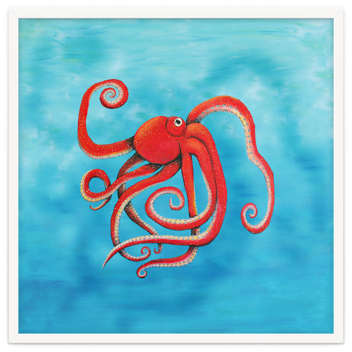 Octopus