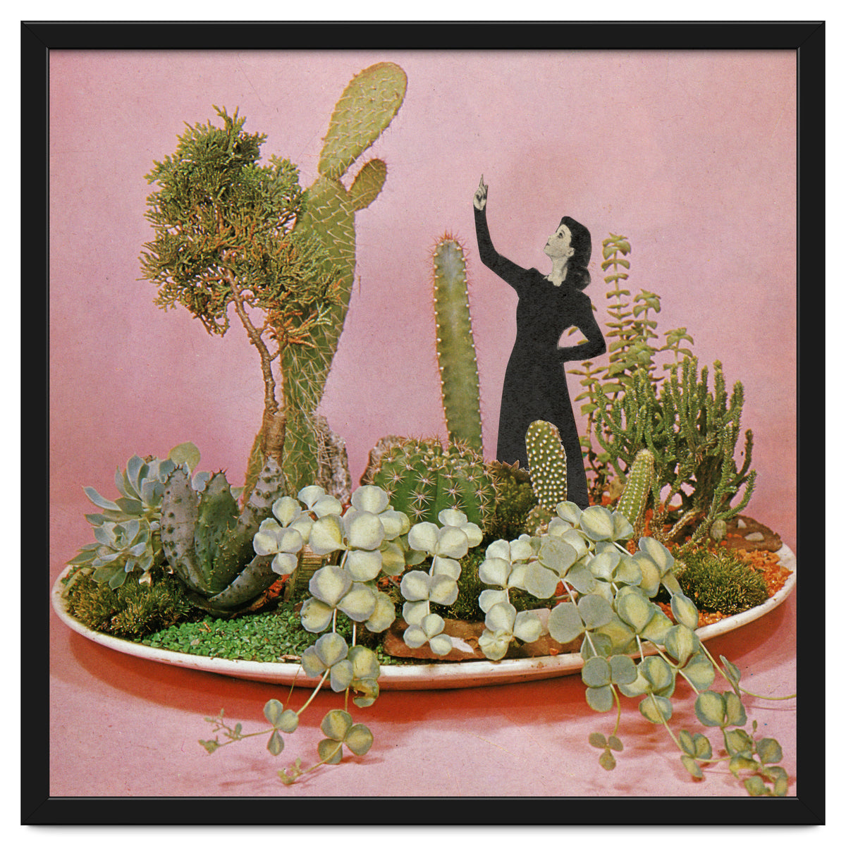 The Wonders Of Cactus Island