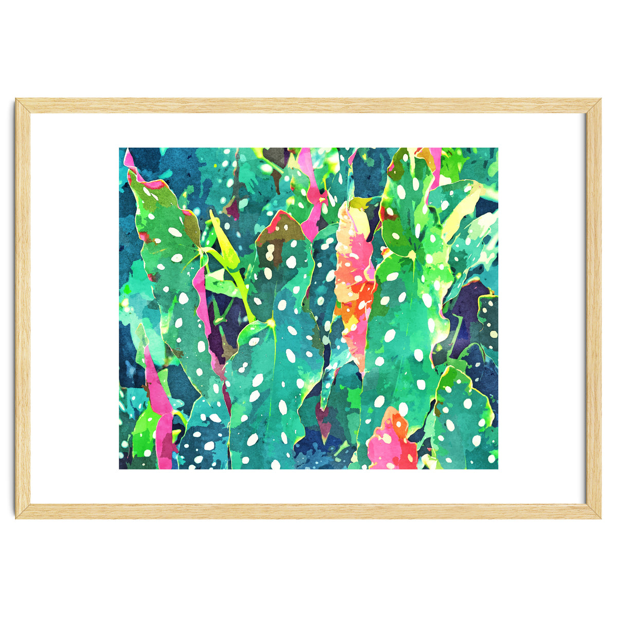 The Polka Dots Plant