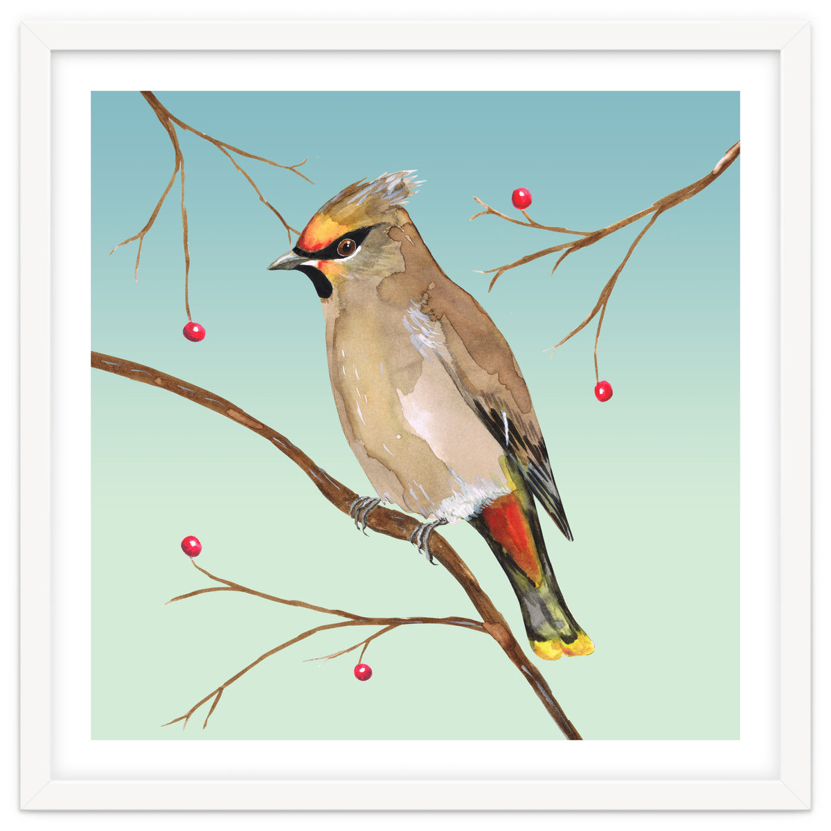 Bohemian waxwing