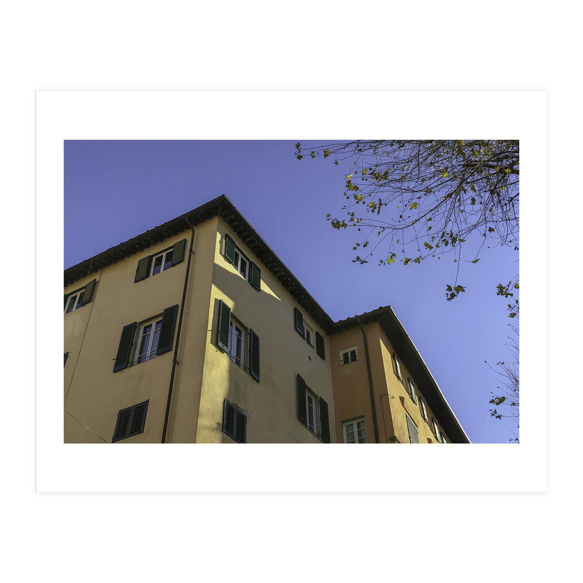 Windows From Tuscany 2 (Print Only)