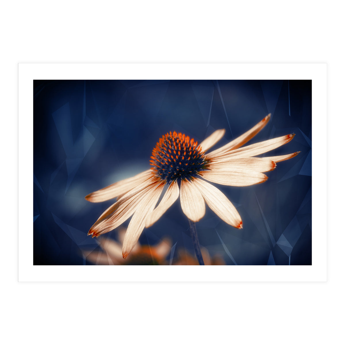 Flowers Indigo (Print Only)