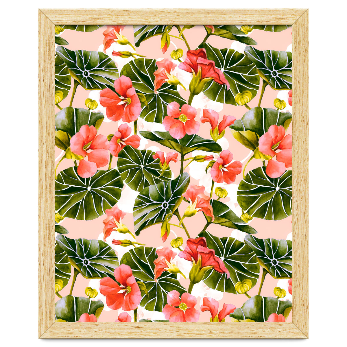 Nasturtiums watercolor 03