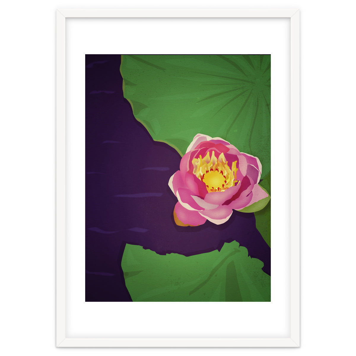 Water lily