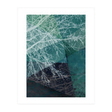 P19 E1 Trees And Triangles (Print Only) thumbnail