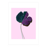 foglia (Print Only) thumbnail