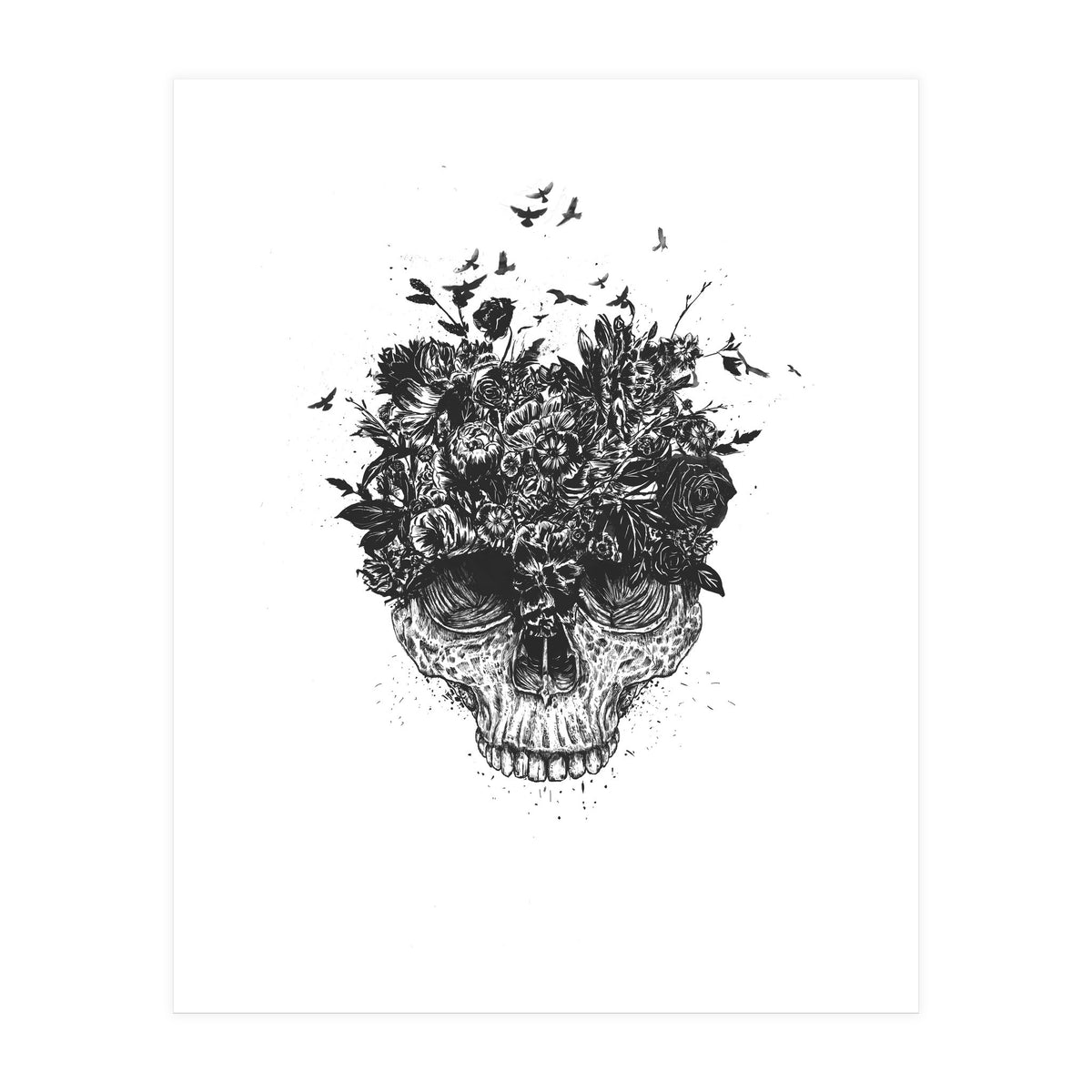 My Head Is A Jungle Bw (Print Only)