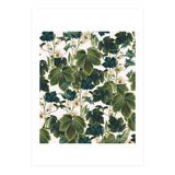 Wild Forest (Print Only) thumbnail