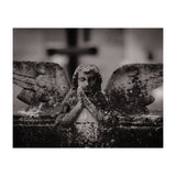 Winged Angel (Print Only) thumbnail