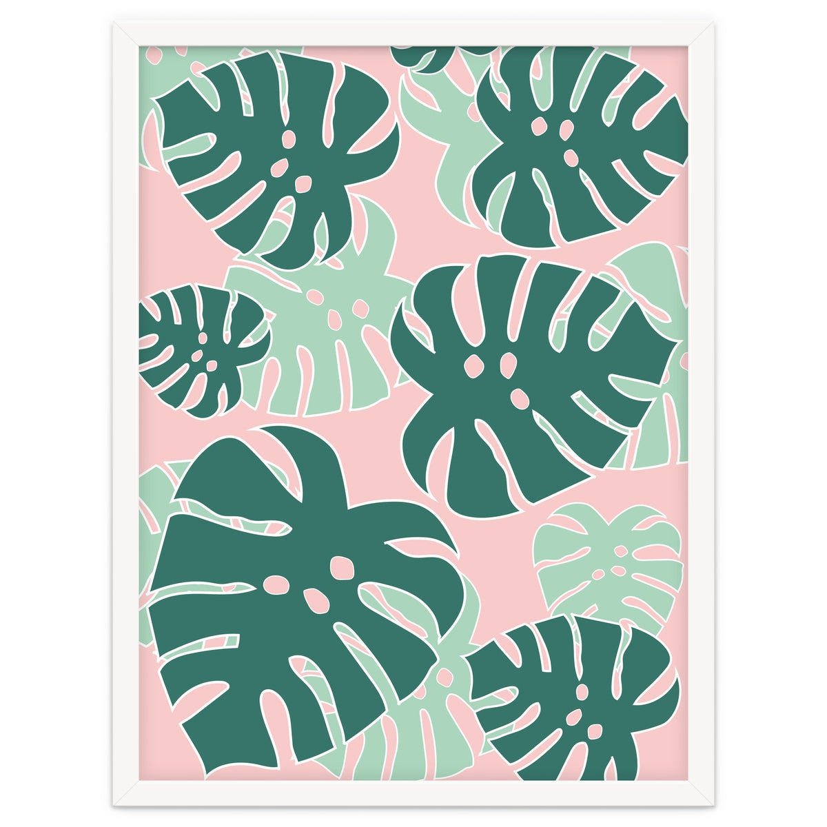 Monstera Tropical