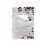 Swan (Print Only) thumbnail