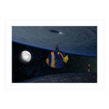 Fish fly (Print Only) thumbnail