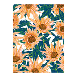 Blush Sunflowers (Print Only) thumbnail