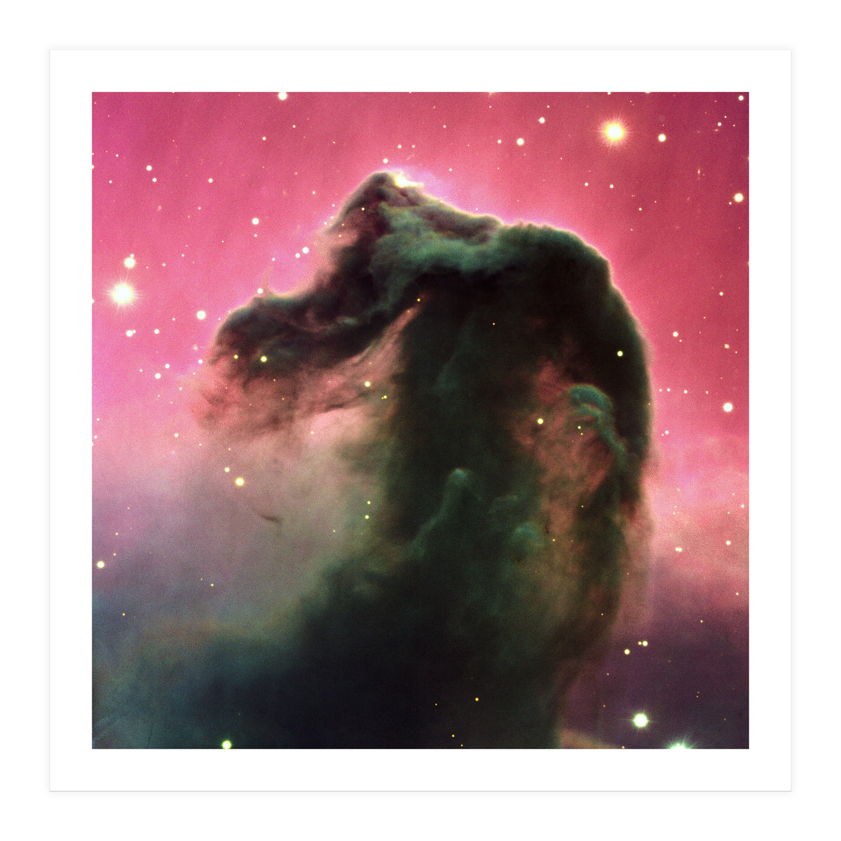 The Horsehead Nebula (Print Only)