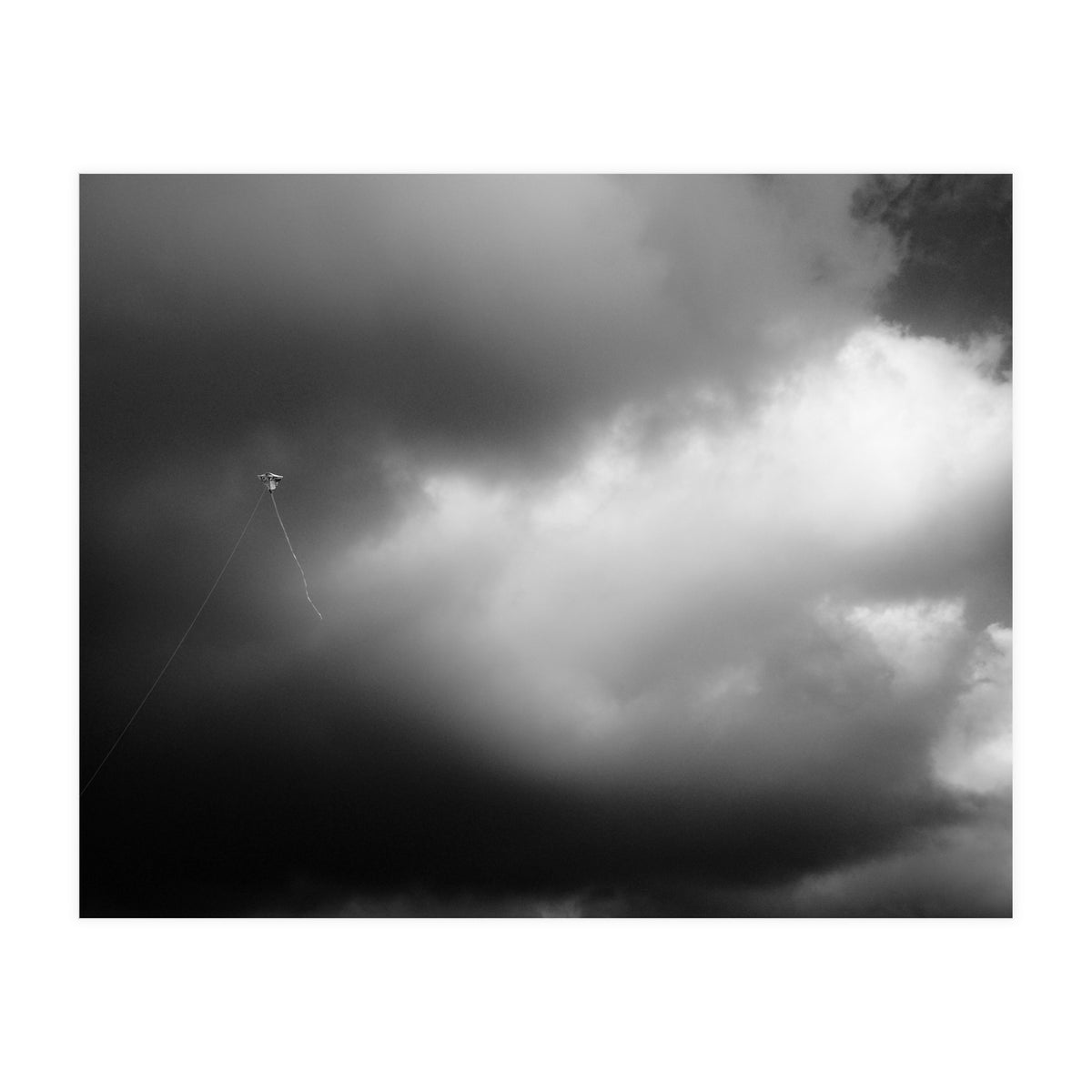 The Kite (Print Only)