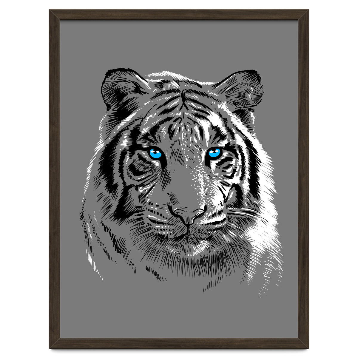 Sketch Tiger