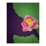 Water lily (Print Only) thumbnail