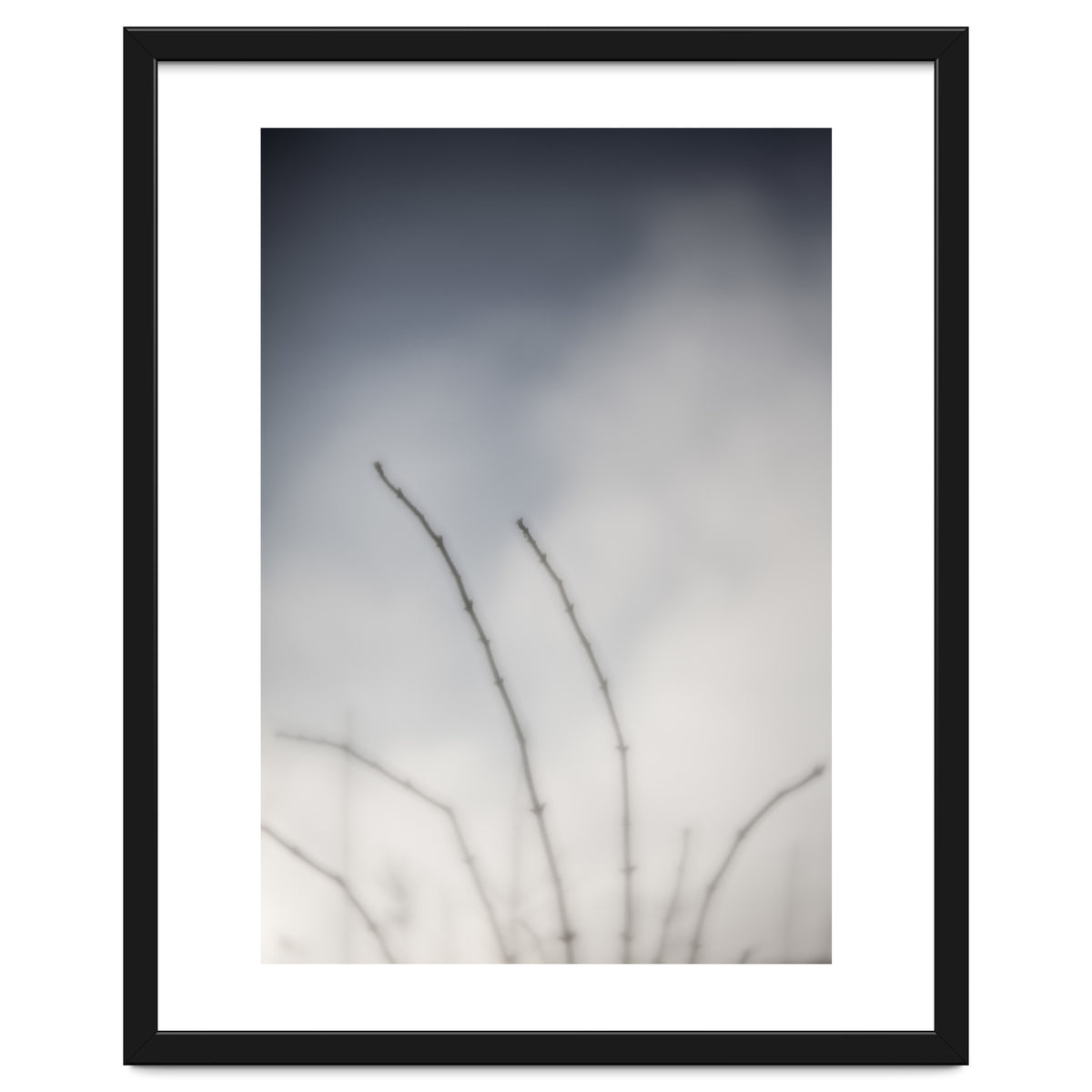 Forgotten Memories of summer #18